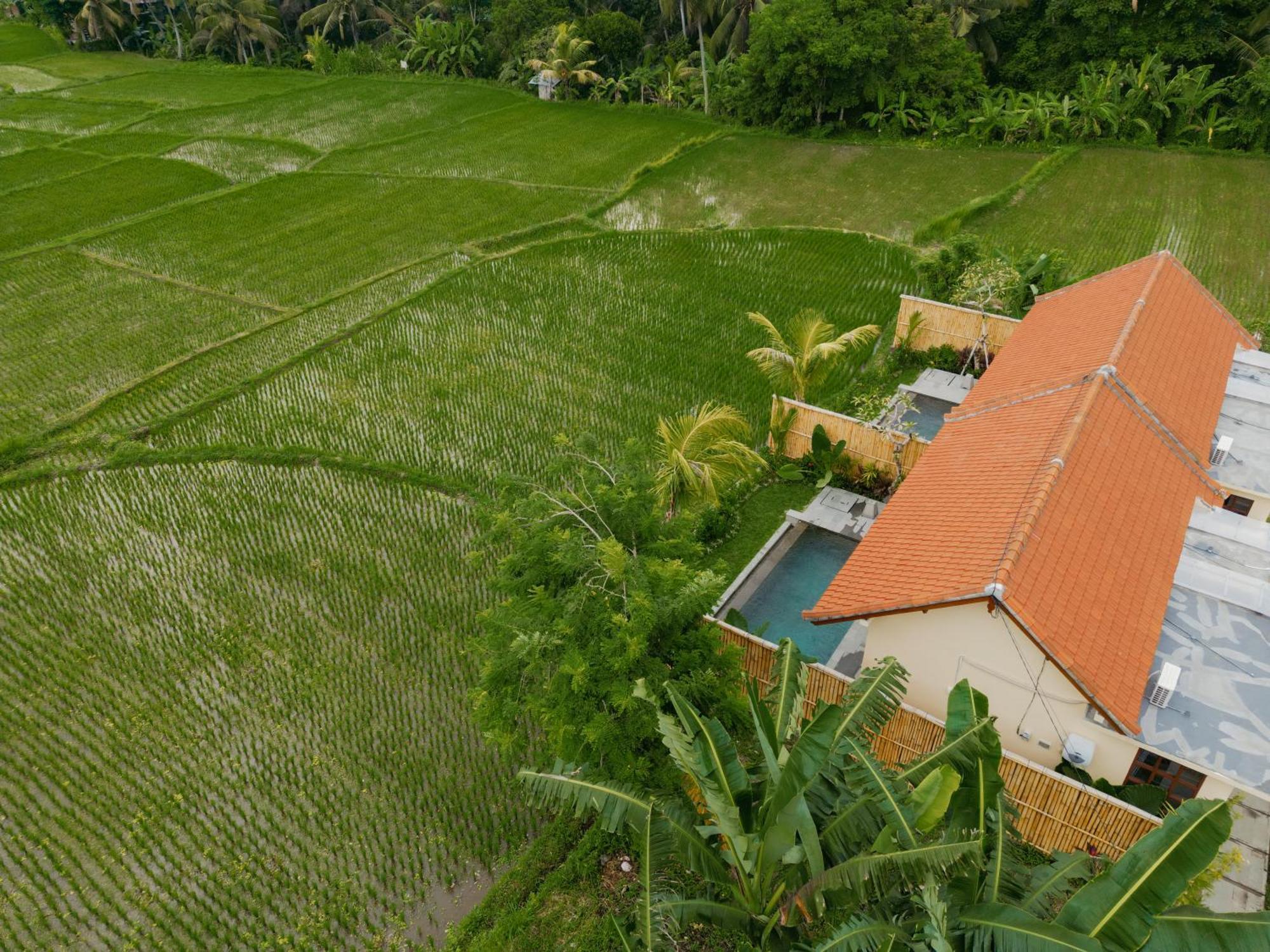 Uma Rimbun Pool Villa By Uniquecations Ubud  Exterior photo